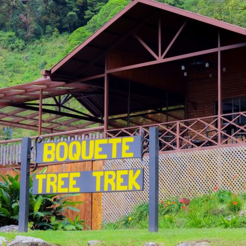 PAN_BoqueteAndChiriquiHighlands_BoqueteTreeTrekMountainResort (1)
