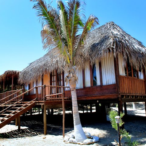Aranwa Vichayito