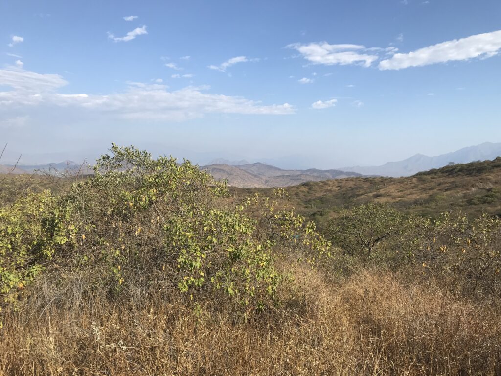 chaparri eco lodge