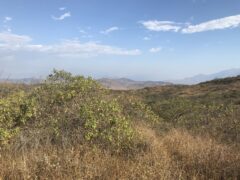 chaparri eco lodge
