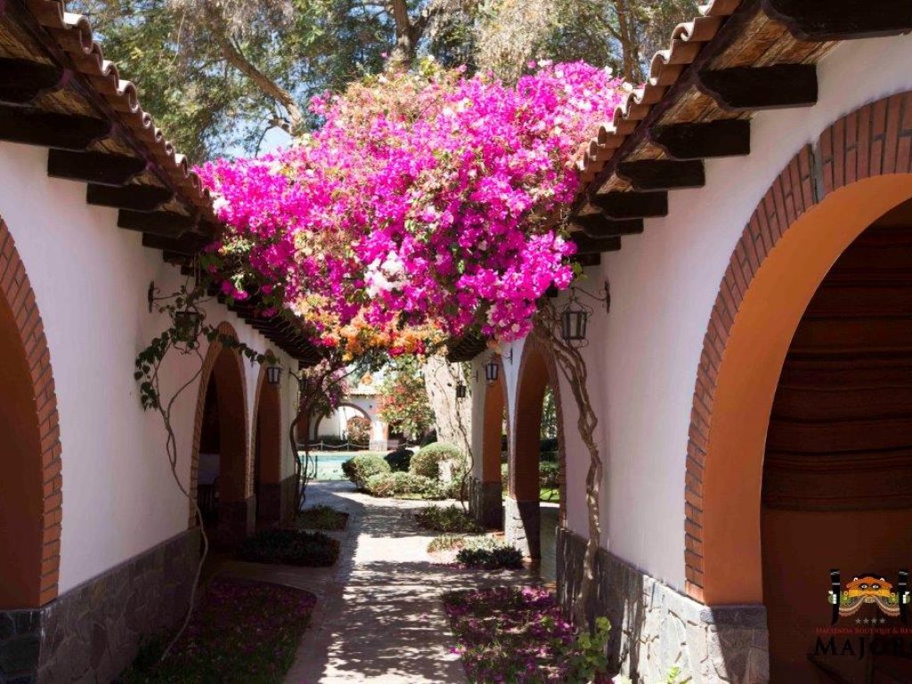 Hacienda Boutique and Resort Majoro