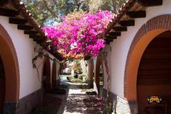 PER_Nazca_HaciendaMajoro_freewithcredit (3) Hacienda Boutique and Resort Majoro