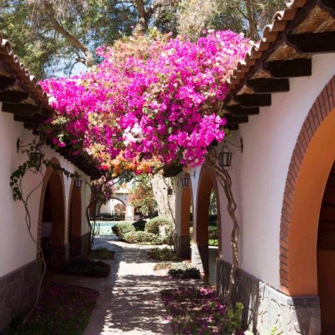 Hacienda Boutique and Resort Majoro