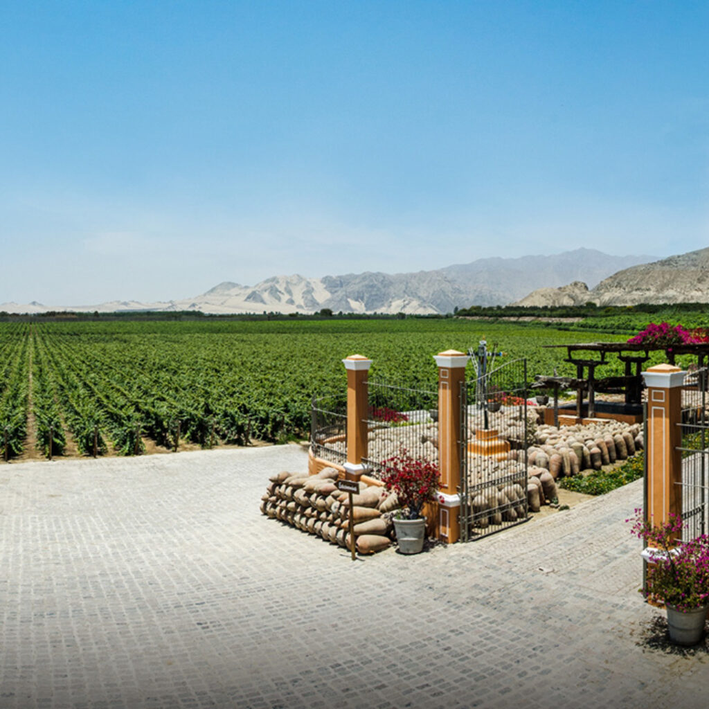 Hotel Vinas Queirolo