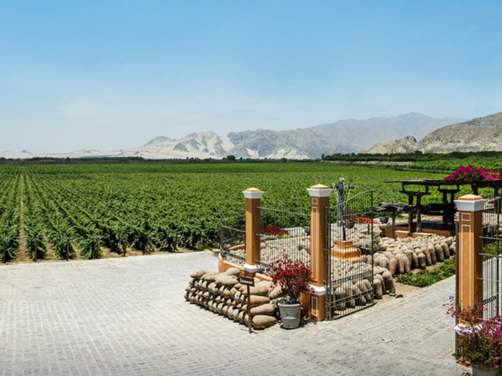 Hotel Vinas Queirolo