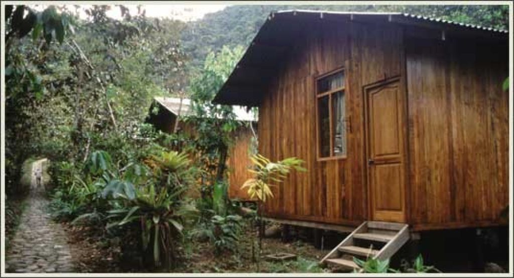 cock of the rock lodge
