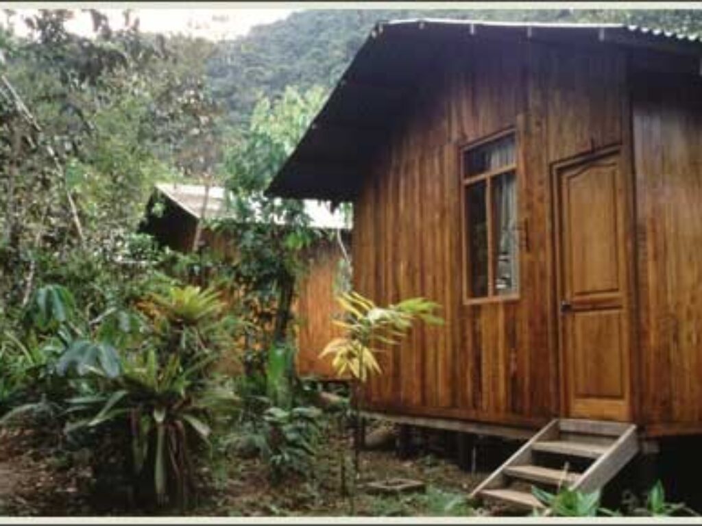 cock of the rock lodge