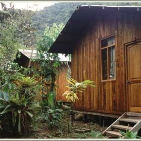 cock of the rock lodge