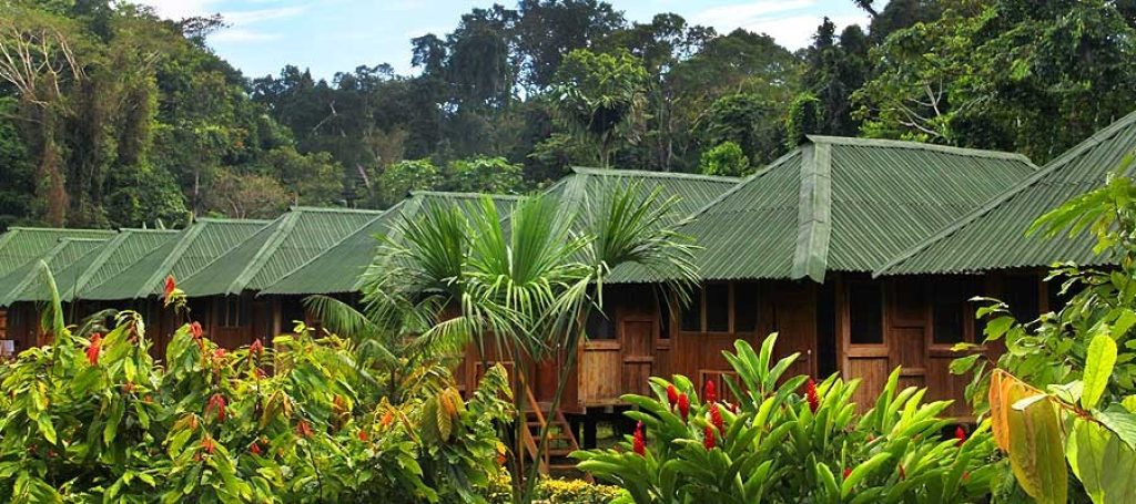 Eco Amazonia