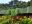 Eco Amazonia