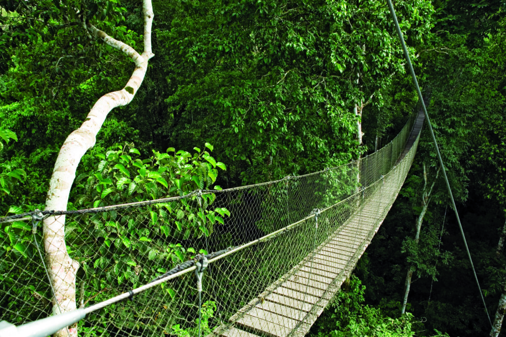 PER_Amazon_InkaterraReservaAmazonica_HOTELOWNED_WithCreditOnly (2)