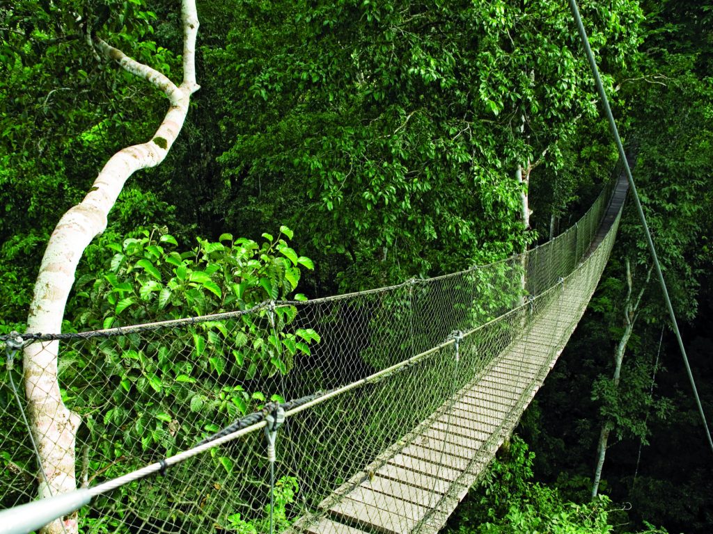 PER_Amazon_InkaterraReservaAmazonica_HOTELOWNED_WithCreditOnly (2)