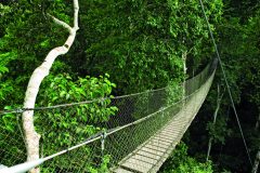 PER_Amazon_InkaterraReservaAmazonica_HOTELOWNED_WithCreditOnly (2)