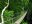 PER_Amazon_InkaterraReservaAmazonica_HOTELOWNED_WithCreditOnly (2)