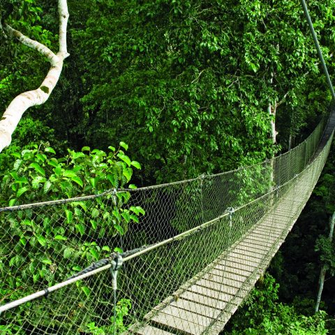 PER_Amazon_InkaterraReservaAmazonica_HOTELOWNED_WithCreditOnly (2)