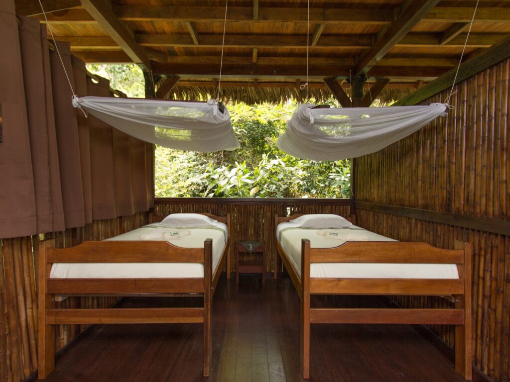PER_ThePeruvianAmazonSouth_ManuLearningCentre (1)