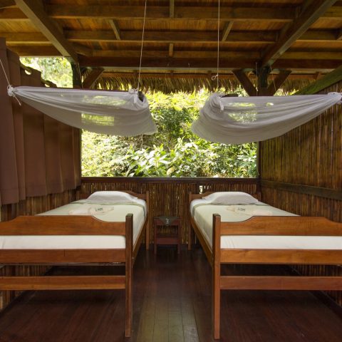 PER_ThePeruvianAmazonSouth_ManuLearningCentre (1) PER_ThePeruvianAmazonSouth_ManuLearningCentre (1)