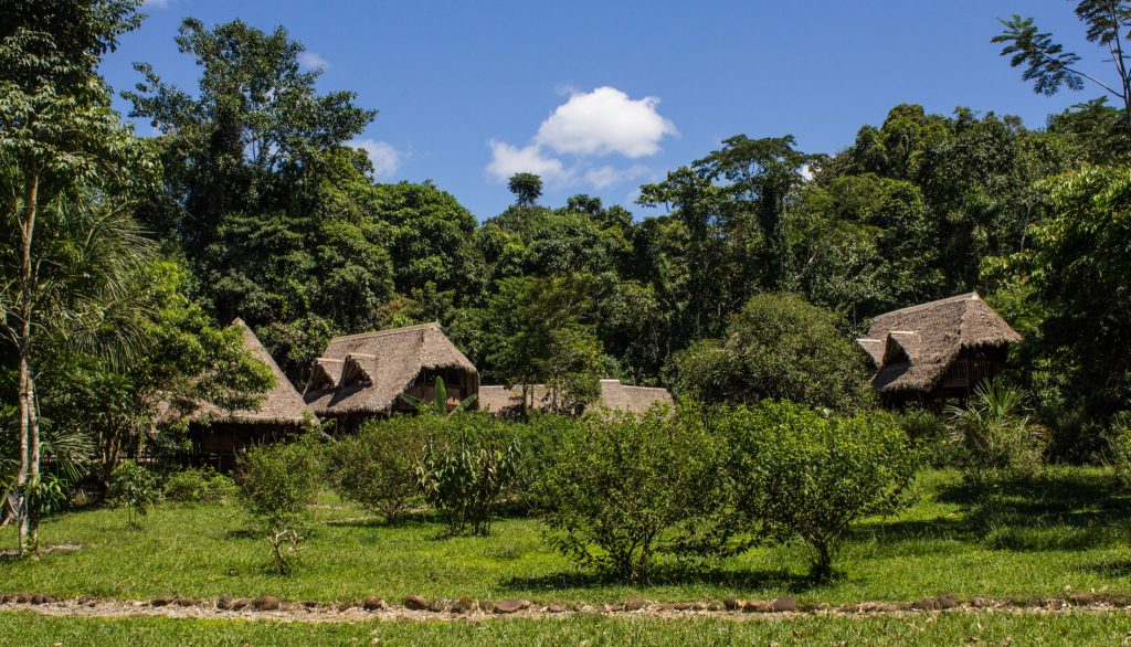 PER_ThePeruvianAmazonSouth_ManuLearningCentre (3)