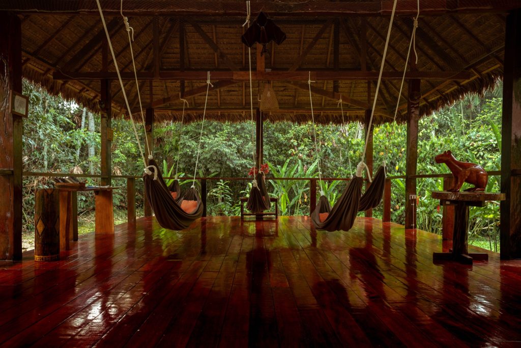 PER_ThePeruvianAmazonSouth_PosadaAmazonas (1)