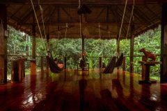 PER_ThePeruvianAmazonSouth_PosadaAmazonas (1)
