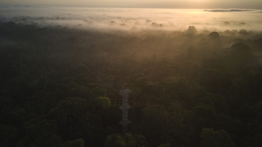 PER_ThePeruvianAmazonSouth_PosadaAmazonas (2)