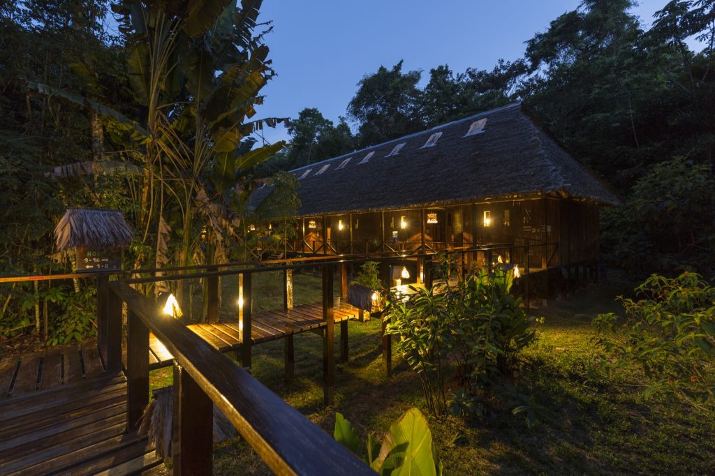 PER_PeruvianAmazonSouth_RefugioAmazonas (1)