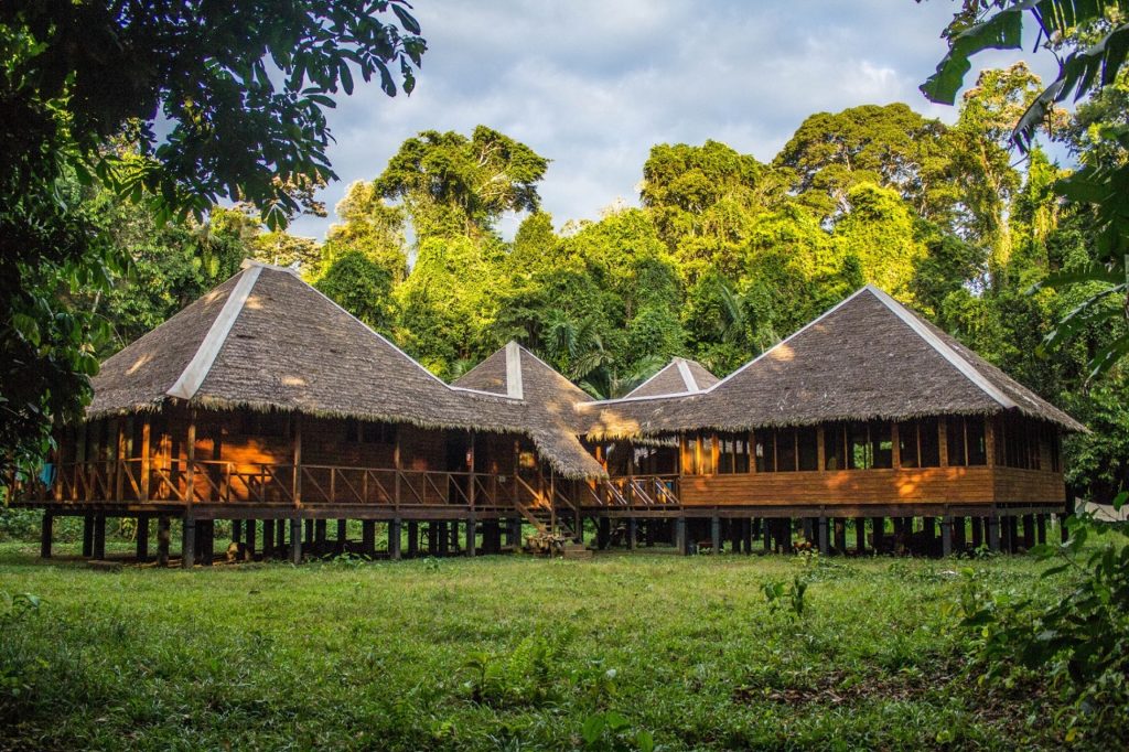 PER_ThePeruvianAmazonSouth_RomeroRainforestLodge (2)