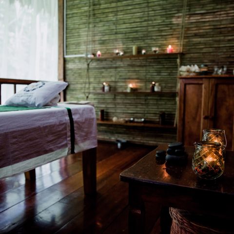 PER_PeruvianAmazonSouth_TambopataResearchCentre (1)