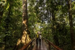 PER_PeruvianAmazonSouth_TambopataResearchCentre (4)