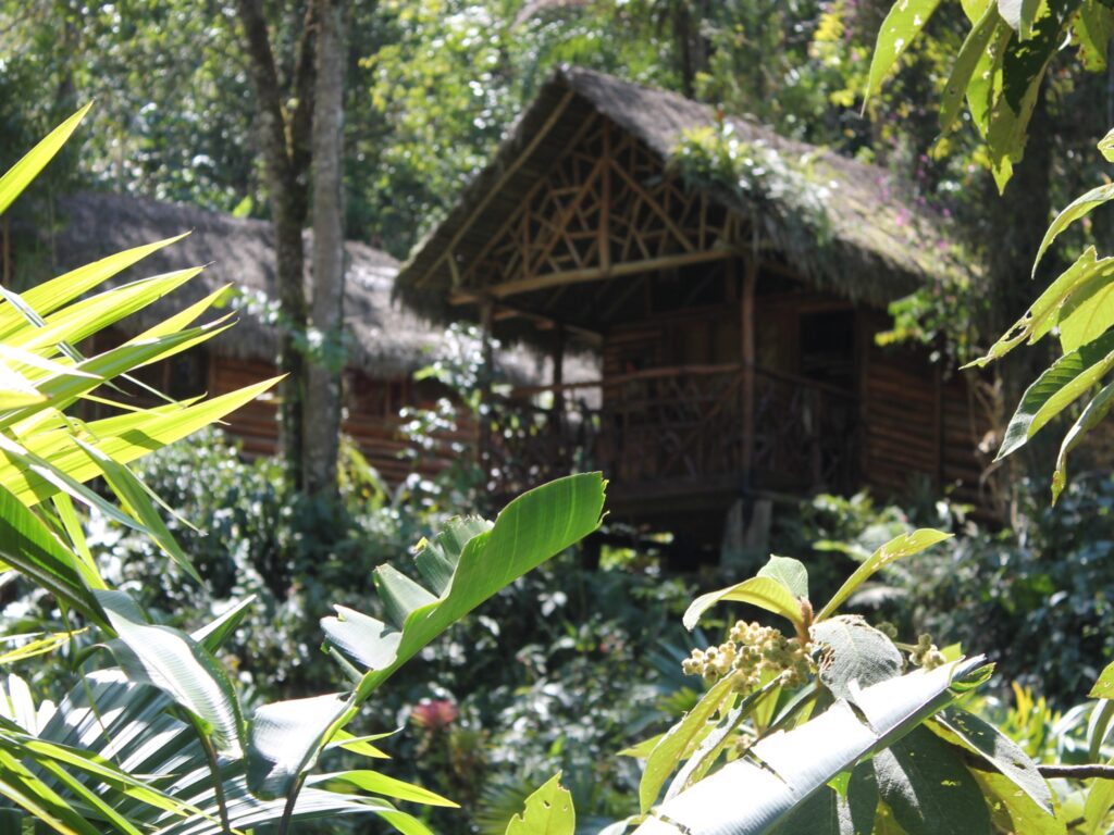 PER_ThePeruvianAmazon_PampaHermosaEcolodge (3)