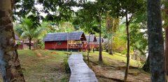 Danpaati River Lodge