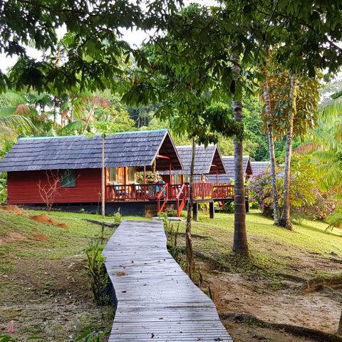 Danpaati River Lodge