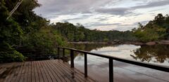 Danpaati River Lodge