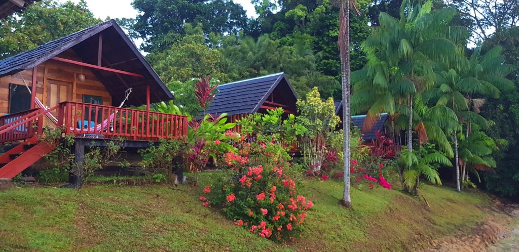 Danpaati River Lodge