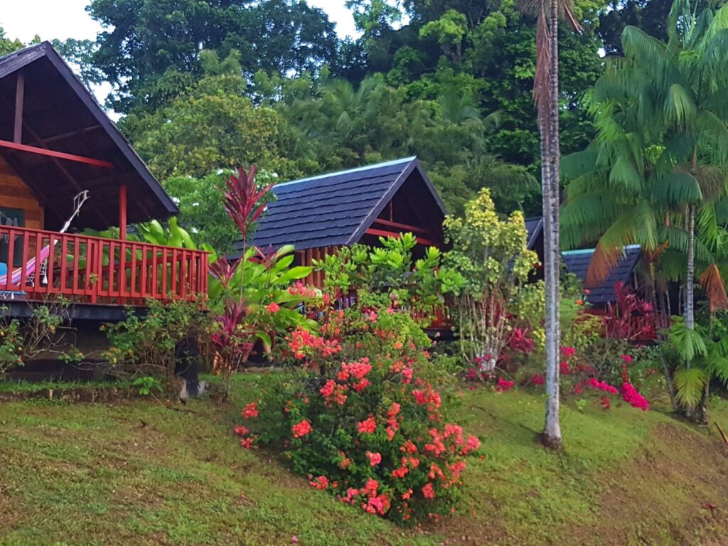 Danpaati River Lodge
