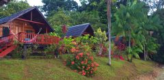 Danpaati River Lodge