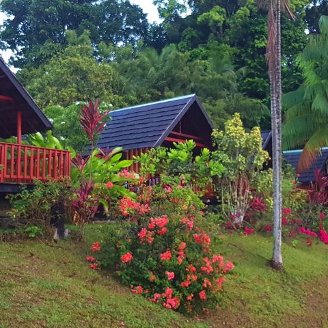 Danpaati River Lodge