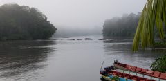Danpaati River Lodge