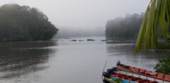Danpaati River Lodge