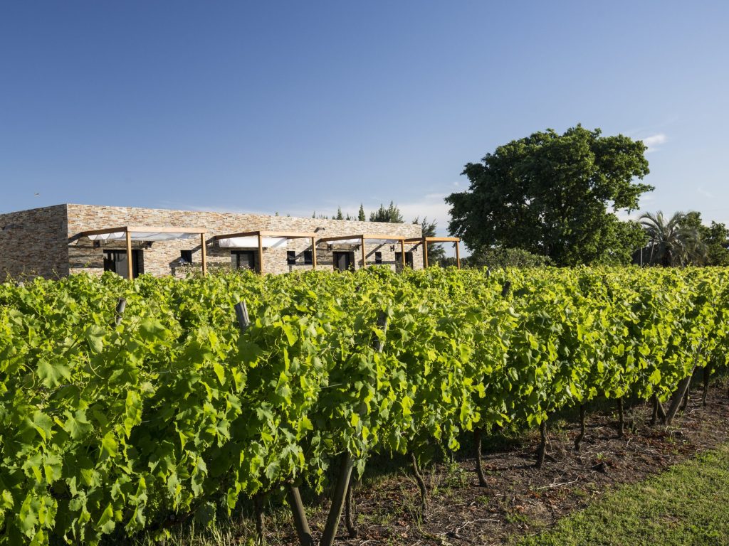 Pizzorno Lodge and Wine