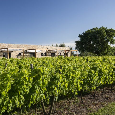 Pizzorno Lodge and Wine