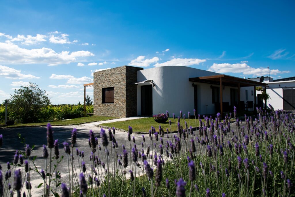 Pizzorno Lodge and Wine