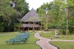 Waku Camp