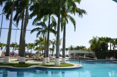 Olé Caribe