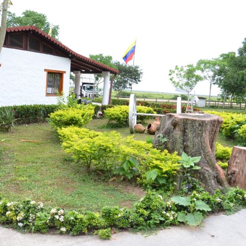 Hato El Cedral