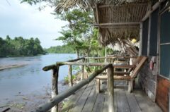 Mis Palafitos Lodge