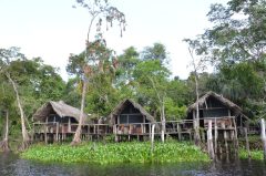 Mis Palafitos Lodge