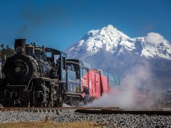 Train | Andes