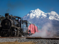 Train | Andes