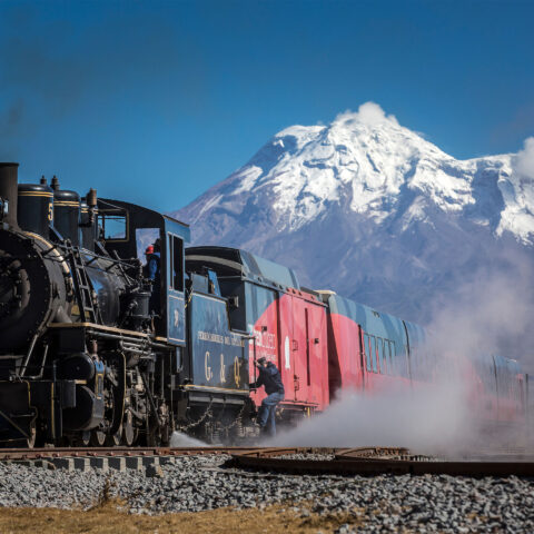 Train | Andes